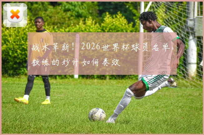 战术革新!2026世界杯球员名单,教练的妙计如何奏效