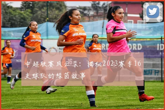 中超联赛风云录:揭秘2023赛季16支球队的绿茵故事
