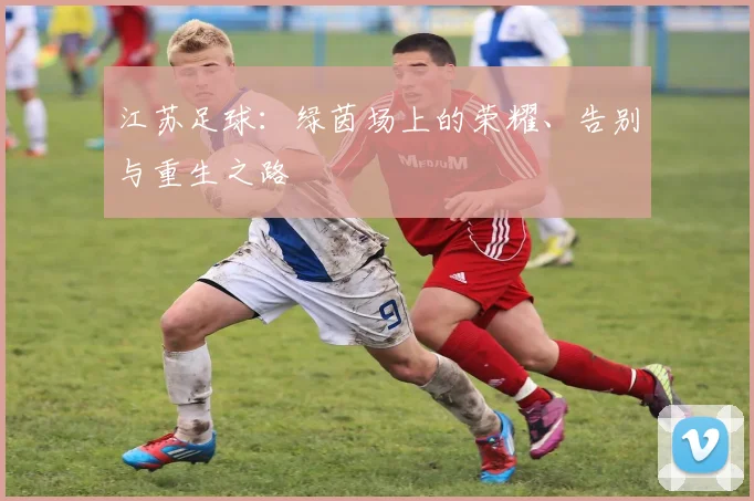 江苏足球:绿茵场上的荣耀、告别与重生之路