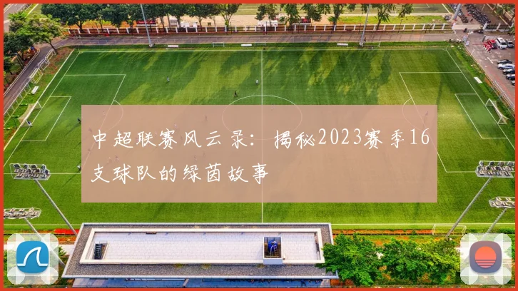 中超联赛风云录:揭秘2023赛季16支球队的绿茵故事